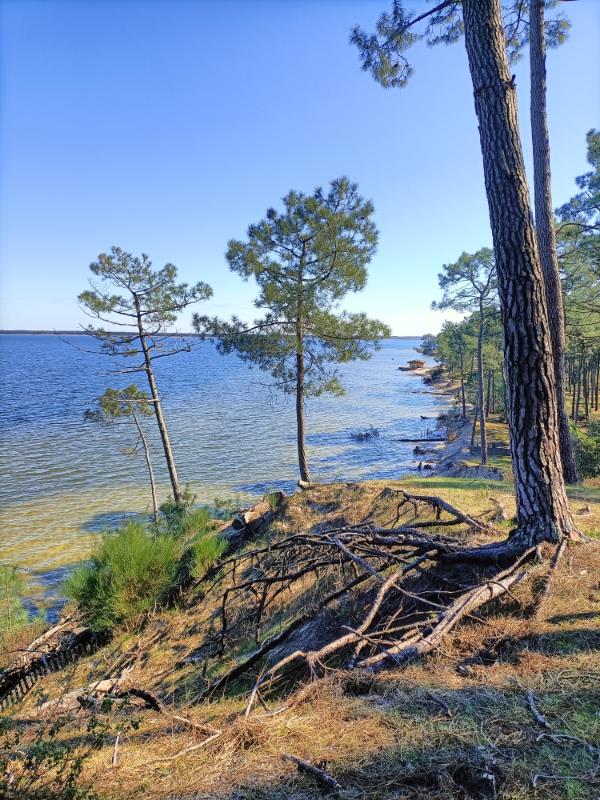 Gironde - Photo 3