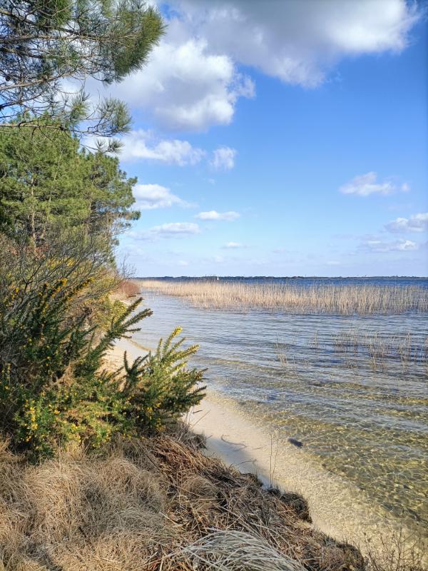 Gironde - Photo 4