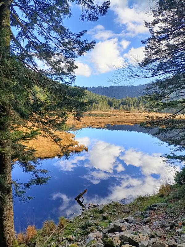 Vosges - Photo 4