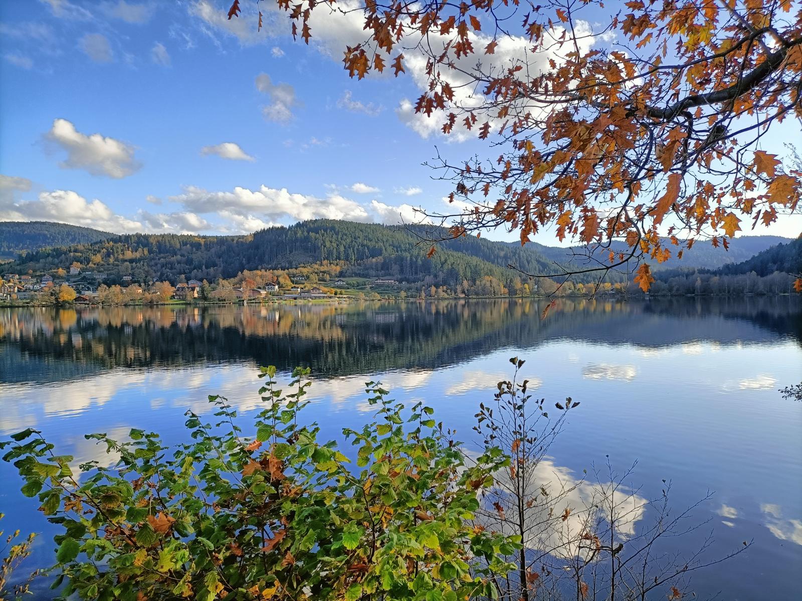 Paysage des Vosges