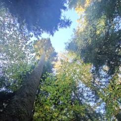 Visite de jardins